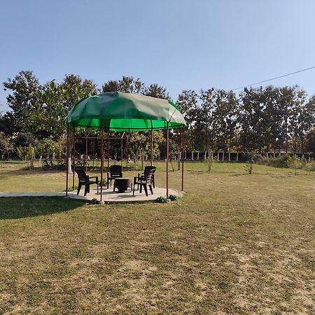 Nature Homestay Варанаси Экстерьер фото